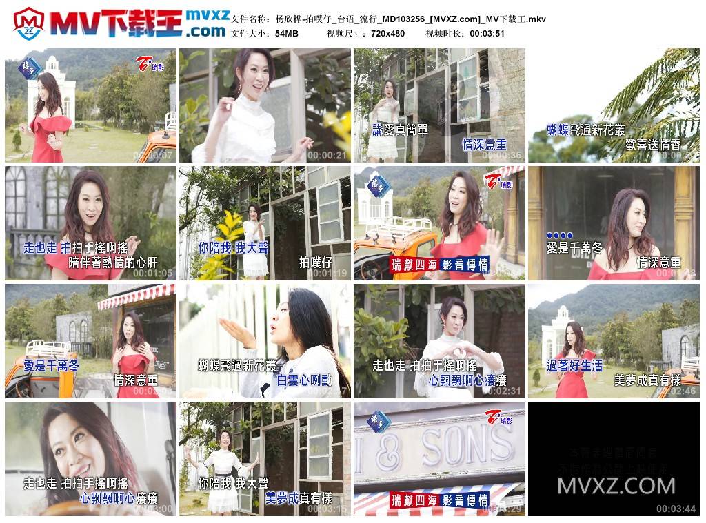 杨欣桦-拍噗仔_台语_流行_MD103256